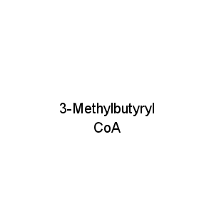 3-Methylbutyryl CoA